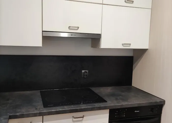 Apartament Andrea 1 * Oleśnica