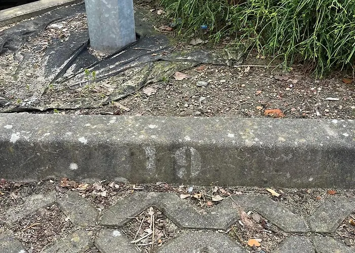 Apartament Andrea 1 アパート *